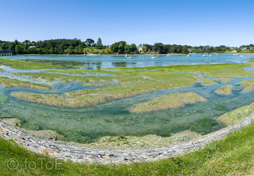 20220528-1625 1420434 pano+
